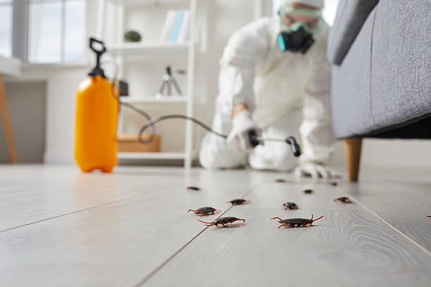 Commercial Kitchen Cockroach Control in Sparta